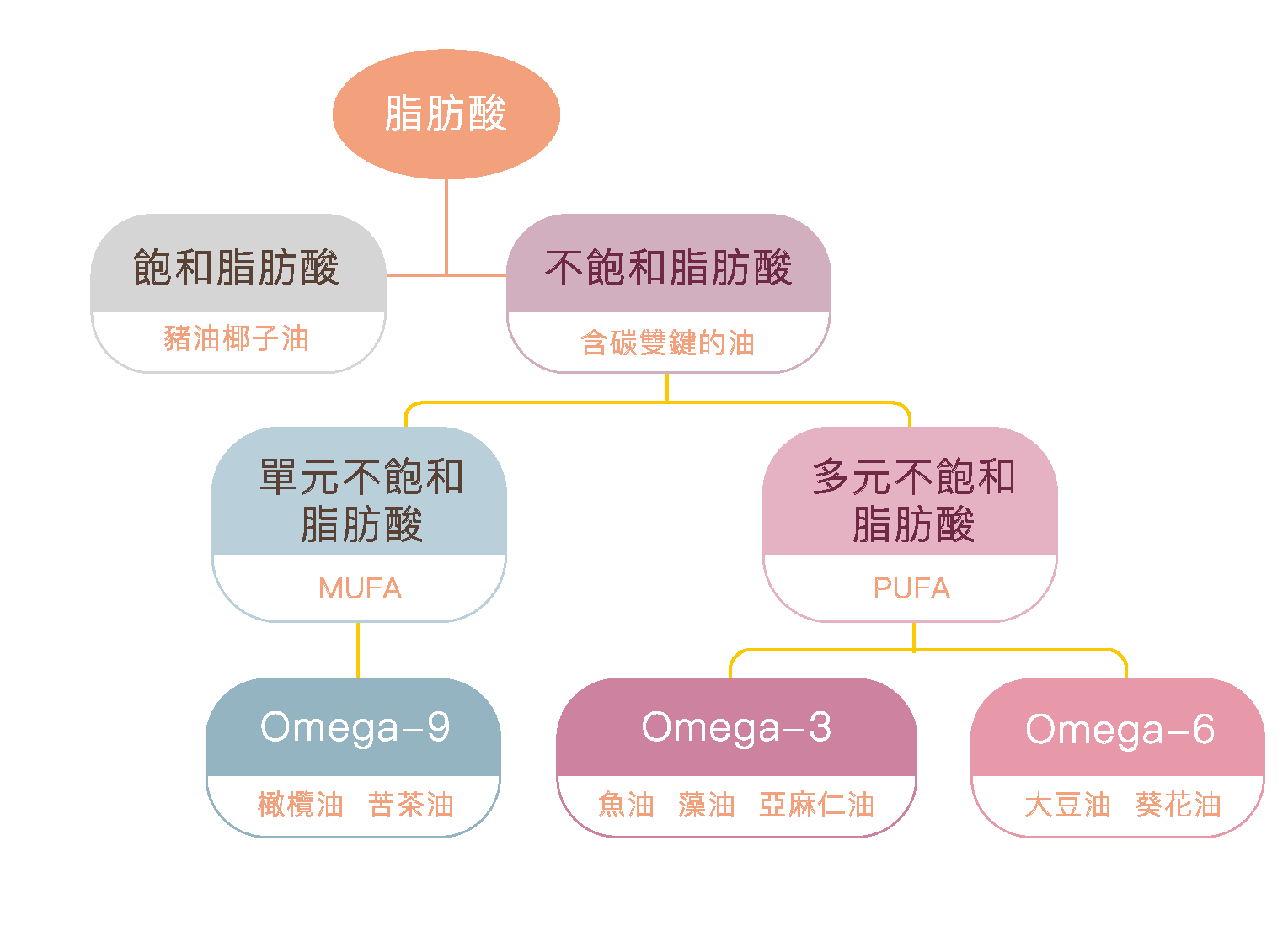 Omega-3、Omega-6、Omega-9的差別與來源