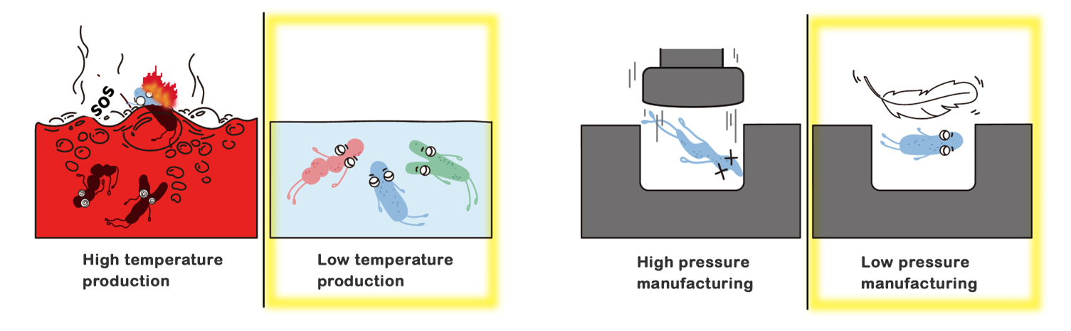 Choosing the Right Probiotics: Your Essential Guide to Probiotics CFU ...