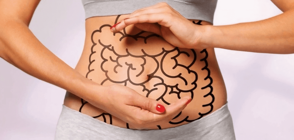 Could Post-Meal Fatigue Indicate an Enzyme Shortfall? Understanding Enzymes and Their Selection